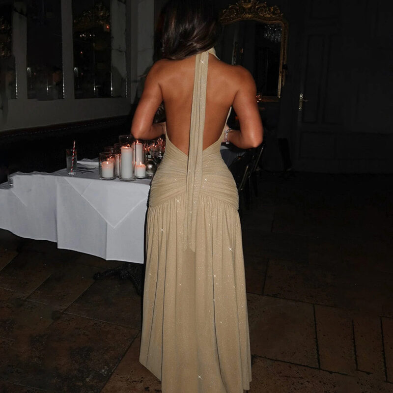 Chilldressy™ Halter Backless Maxi Dress