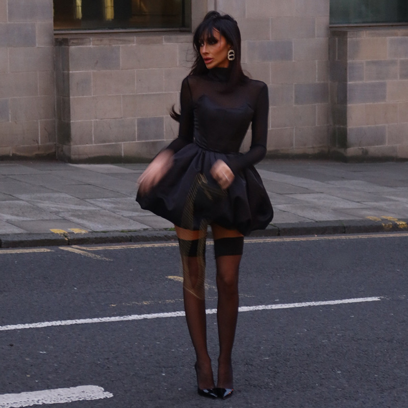 Chilldressy™ Sexy Mesh Long Sleeve Mini Dress